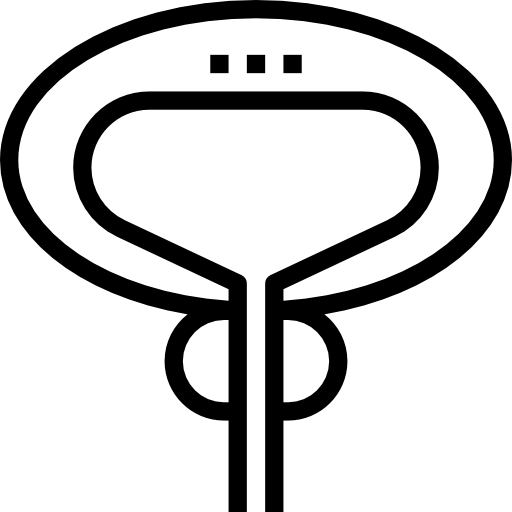 prostate