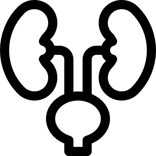 urologia